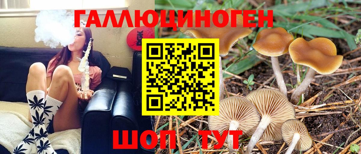 Надым  Псилоцибиновые грибы GOLDEN TEACHER  Псилоцибиновые грибы Magic Shrooms  Вход с VPN 